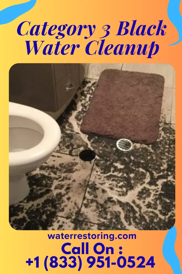 Category 3 Black Water Cleanup in Fulton, AL